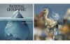 最新《國家地理雜誌》封面「塑膠冰山」引熱議  翻開一張張照片看看人類都對地球做了些甚麼...