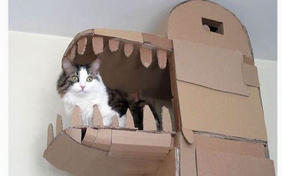 貓奴為了家中主子自己動手做了「超豪華五星級紙箱城堡」認真覺得主人真的太強了