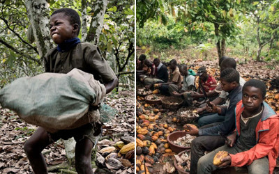 你吃的都是童工的血汗！7個「壓榨非洲童工製造巧克力」的國際知名品牌