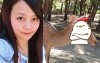 她‎開心到日本奈良旅遊想和奈良鹿來張合照，結果鹿鹿竟然一臉嫌棄...網友：沒餅乾還想拍