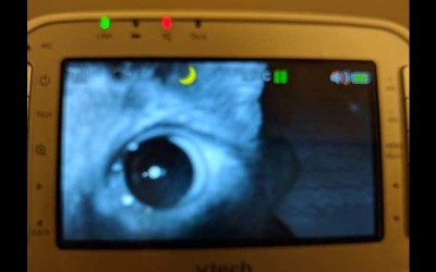 媽媽從寶寶監視器裡看到「最溫暖的畫面」網友融化：２４小時的貼身護衛！