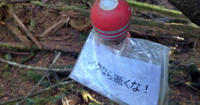 日本自 殺聖地青木原樹海「掛滿飛機杯」  背後奇葩原因曝光